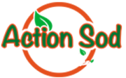 Action Sod